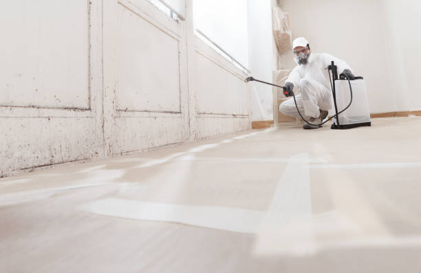 24/7 Emergency Basement Mold Removal experts in Jamestown, NC