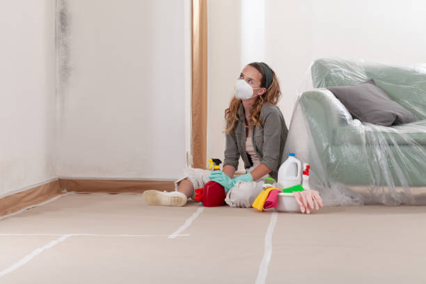 Reliable Basement Mold Removal contractor in Jamestown, NC by WQB Mold Removal